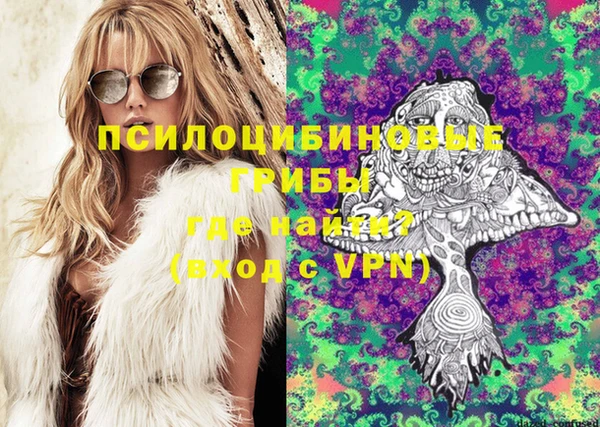эйфоретик Баксан