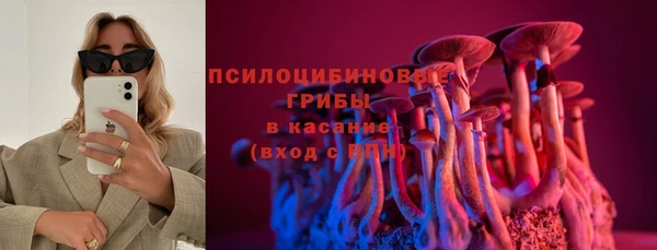 эйфоретик Баксан