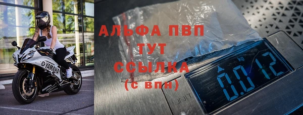 эйфоретик Баксан