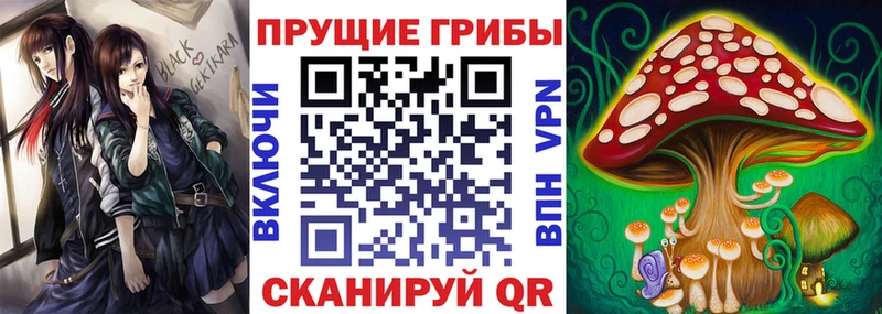 Псилоцибиновые грибы GOLDEN TEACHER  где купить наркоту  Усть-Джегута 