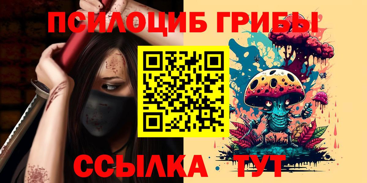Галлюциногенные грибы мицелий  купить   Усть-Джегута  Вход с VPN 