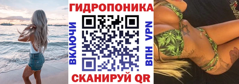 где купить   Усть-Джегута  Канабис OG Kush 